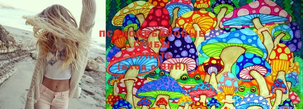 дживик Белоозёрский