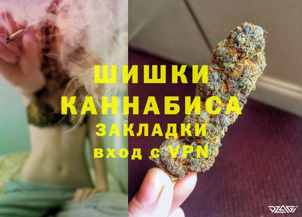PSILOCYBIN Беломорск